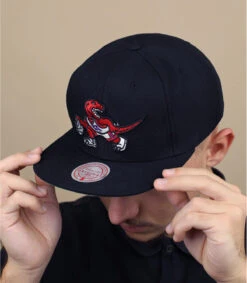 Mitchell & Ness NBA Core Basic Snapback Raptors