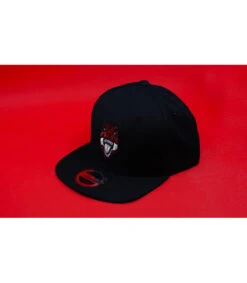 Snapback Kids Never Forget -Mode Chapeaux Magasin snapback kids never forgetsnapback20enfant20dinosaure