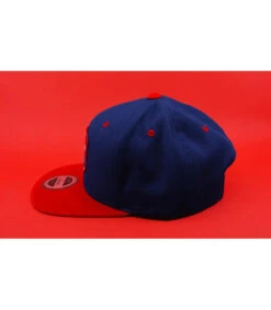 Snapback Paris -Mode Chapeaux Magasin snapback parisGoooaaal20Snapback20Paris